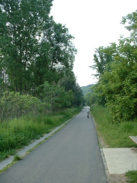 Wychodzimy na prosta!